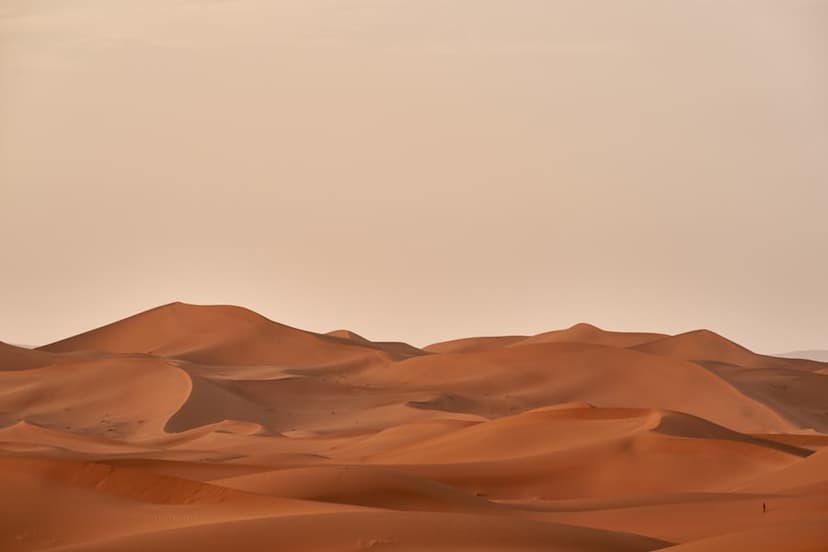 Rajasthan desert dunes